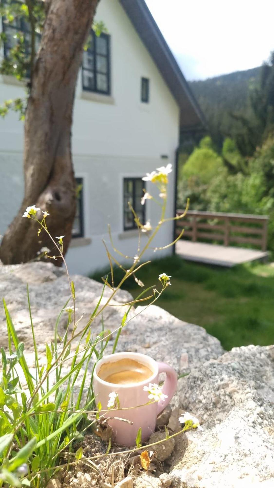 Villa Antoniwald82 Josefŭv Dŭl Esterno foto