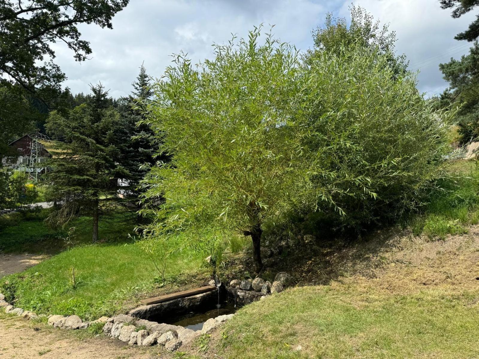 Villa Antoniwald82 Josefŭv Dŭl Esterno foto